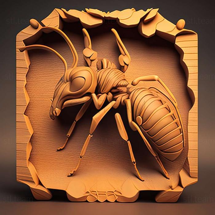 3D модель Camponotus orombe (STL)